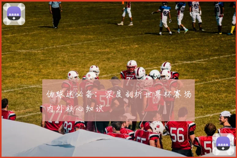 伪球迷必备：深度剖析世界杯赛场内外核心知识