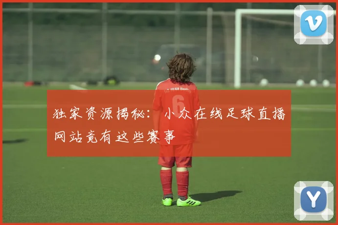 独家资源揭秘：小众在线足球直播网站竟有这些赛事