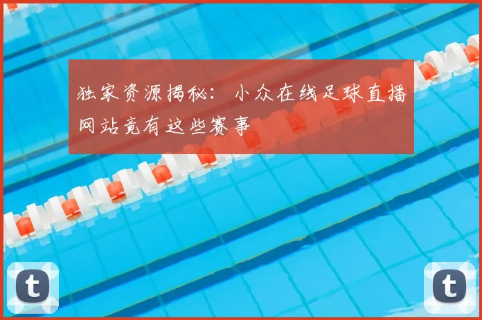 独家资源揭秘：小众在线足球直播网站竟有这些赛事