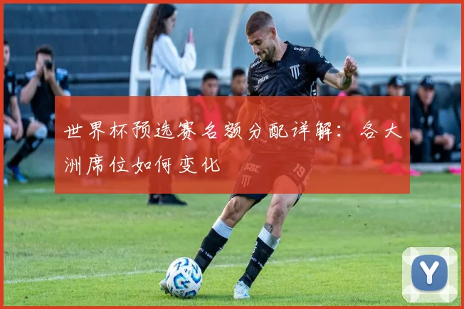 世界杯预选赛名额分配详解：各大洲席位如何变化