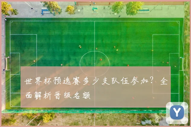 世界杯预选赛多少支队伍参加?全面解析晋级名额
