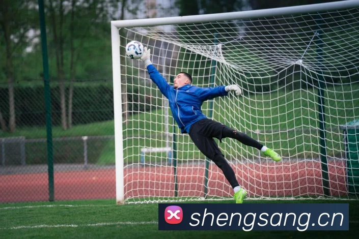 九游官网ios下载平台生态图